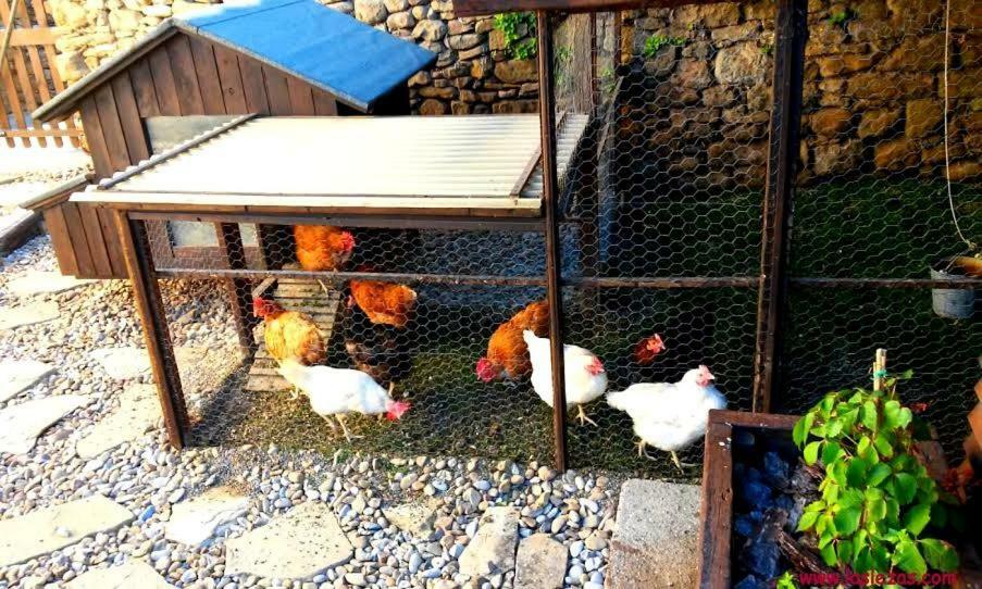 Casa Rural Las Lezas Biel Rom bilde